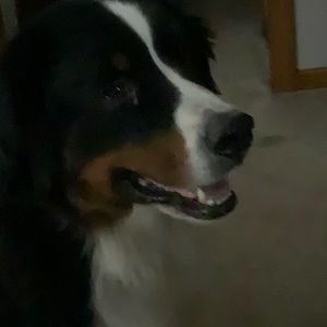 Meet your Posher, Mark